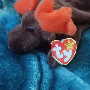 Chocolate beanie baby